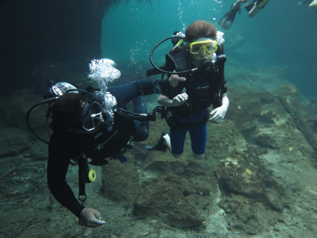  Underwater photography 